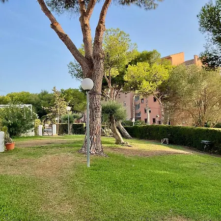 Beautifully Decorated Near The *