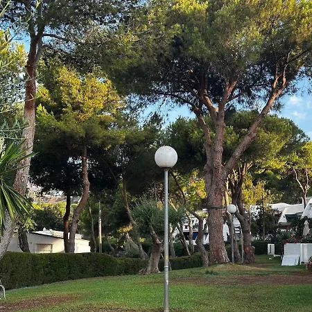 Beautifully Decorated Near The *