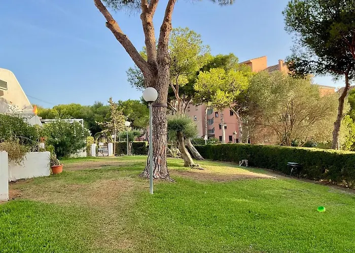 Beautifully Decorated Near The *