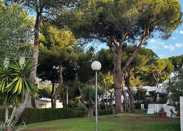 Beautifully Decorated Near The *