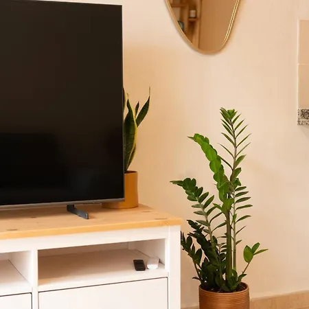 Apartment Beautifully Decorated Near The *