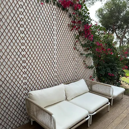 Apartment Beautifully Decorated Near The *